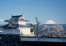 山梨県