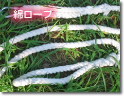 綿ロープ(めんろーぷ)